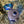 Load image into Gallery viewer, Happy Horse Happy Life Logo Water Bottle