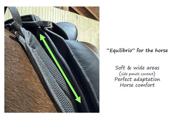 Equilibrio Saddle
