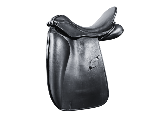 Equilibrio Saddle