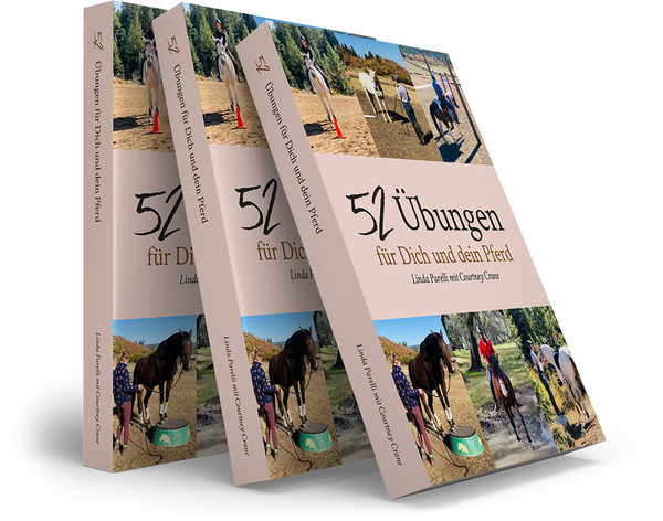 52 Übungen für Dich und dein Pferd (German Version)