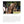 Load image into Gallery viewer, How to Develop Emotional Fitness In Horses