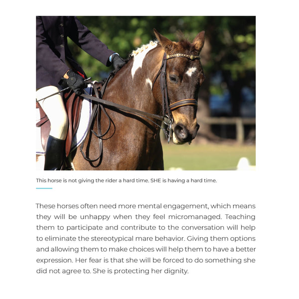 How to Develop Emotional Fitness In Horses