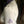 Load image into Gallery viewer, Polo - Classy Lady  #3