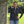 Load image into Gallery viewer, Lucky Horse- Designer Long-Sleeve Performance Shirt
