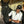 Load image into Gallery viewer, Elite HHHL Black Cap
