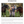 Load image into Gallery viewer, 101 Proven Tips for You and Your Horse