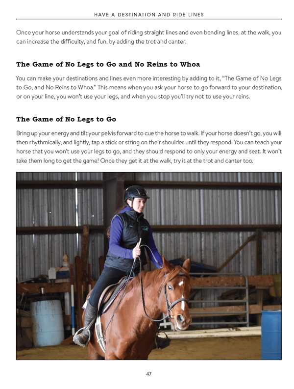 101 Proven Tips for You and Your Horse