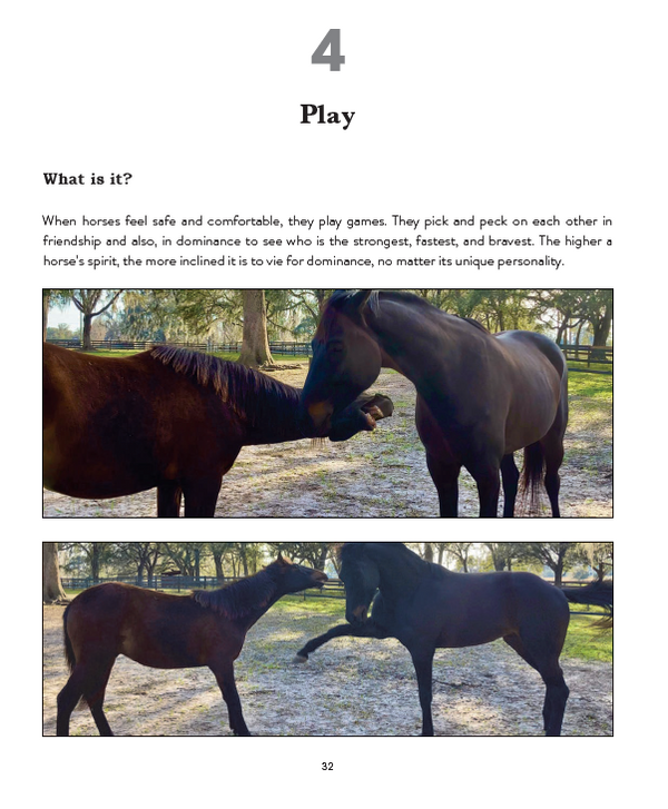 How to Make Your Horse Happy