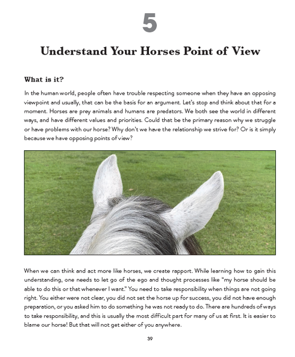 How to Make Your Horse Happy