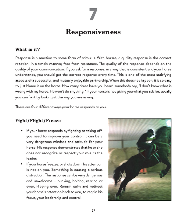 How to Make Your Horse Happy