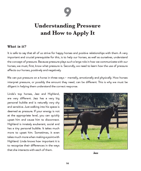 How to Make Your Horse Happy
