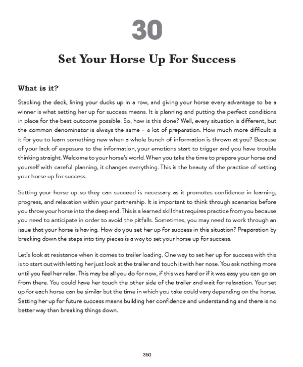 How to Make Your Horse Happy