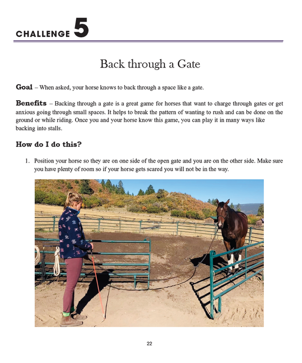 52 Challenges For You & Your Horse