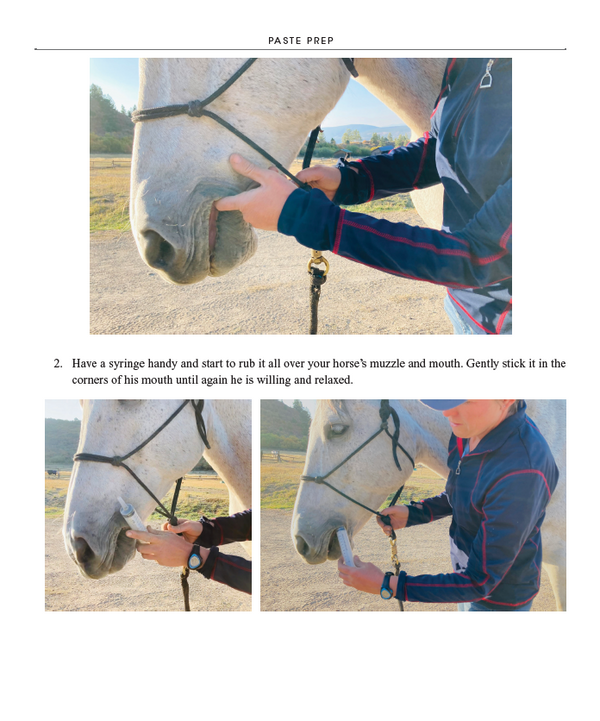 52 Challenges For You & Your Horse