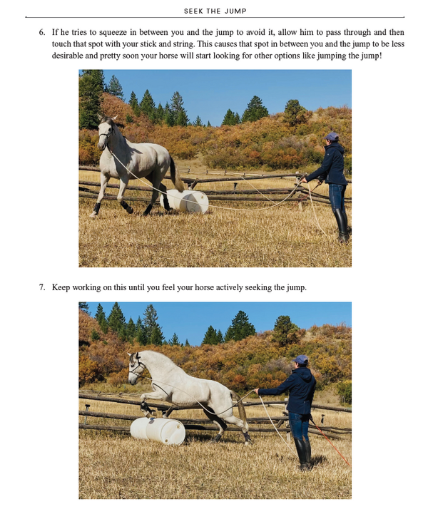 52 Challenges For You & Your Horse