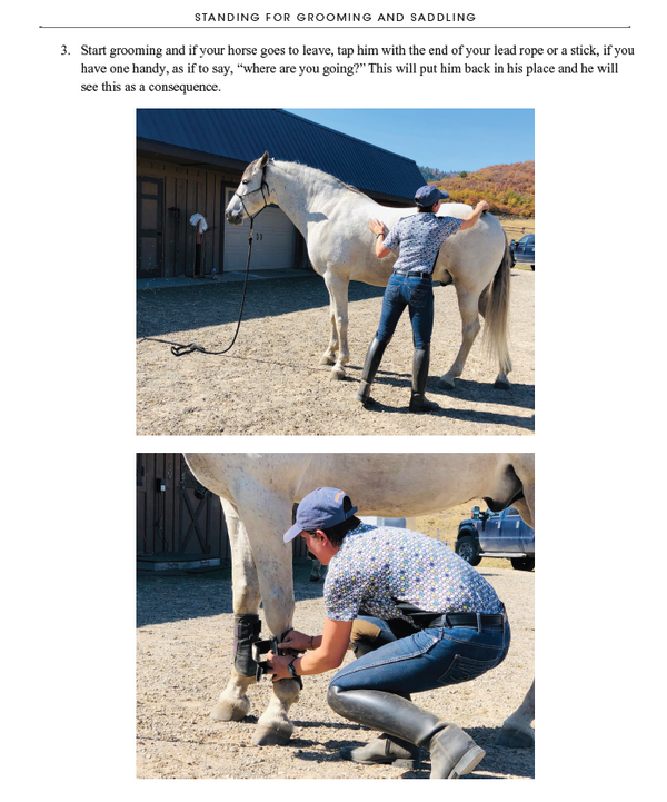 52 Challenges For You & Your Horse