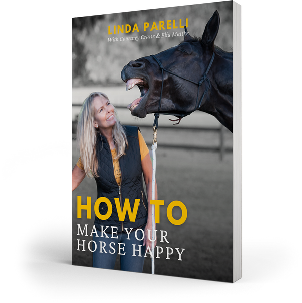 How to Make Your Horse Happy