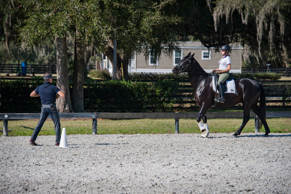 Dressage Trainers' Secrets VIP Retreat with Linda Parelli and Luis Lucio