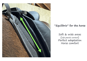 Equilibrio Saddle