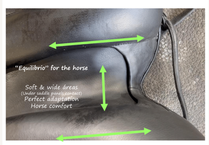 Equilibrio Saddle