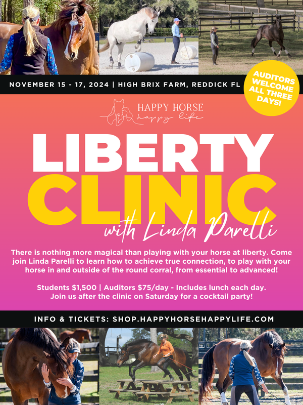 Liberty Clinic - November 15 - 17, 2024 - Students