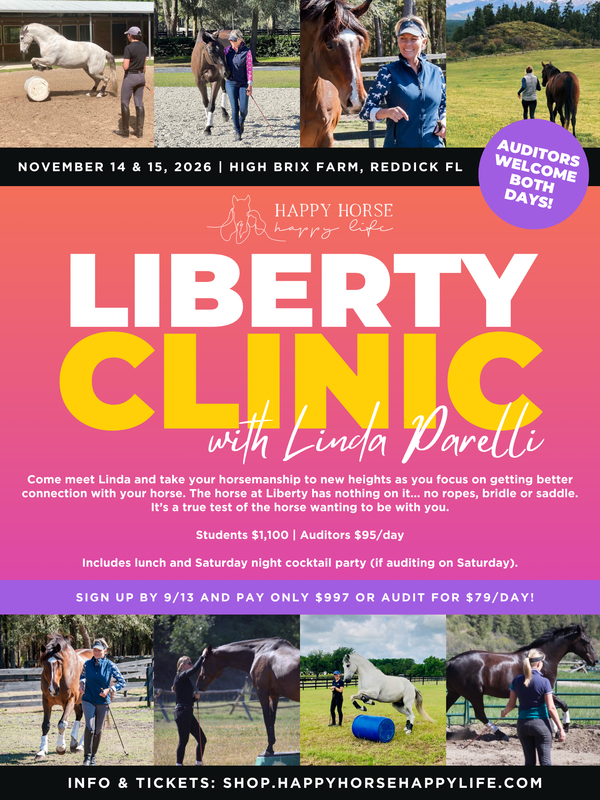 Liberty Clinic - November 14 & 15, 2026 - Auditors