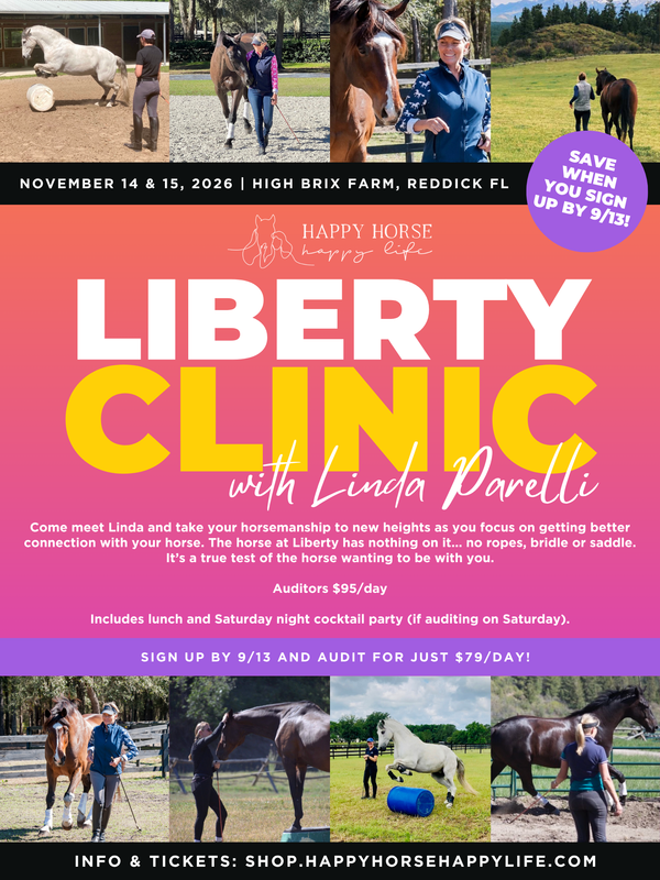 Liberty Clinic - November 14 & 15, 2026 - Auditors