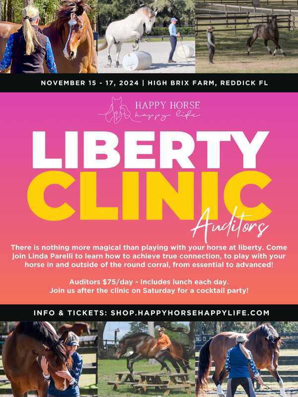 Liberty Clinic - November 15 - 17, 2024 - Auditors