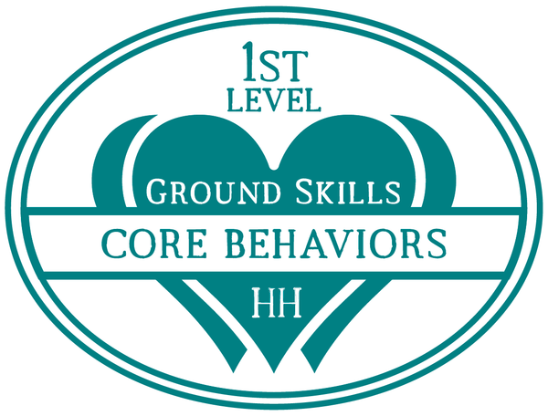 HHHL Success Program 1st Level: Ground Skills