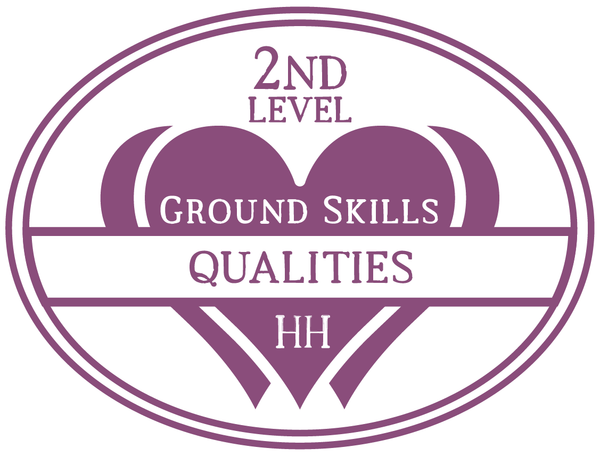 HHHL Success Program 2nd Level: Ground Skills