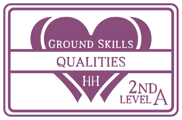 HHHL Success Program 2nd Level: Ground Skills - Advanced