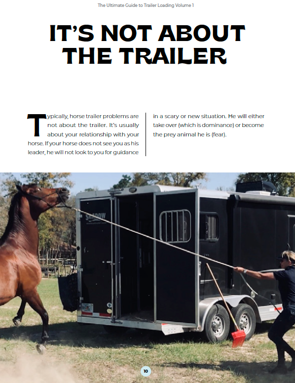 The Ultimate Guide to Trailer Loading: Volume 1 – Happy Horse Happy Life