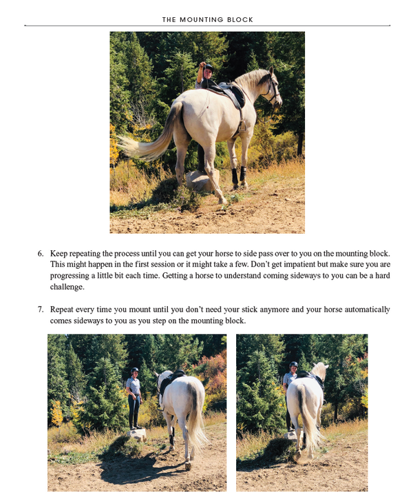 52 Challenges For You & Your Horse