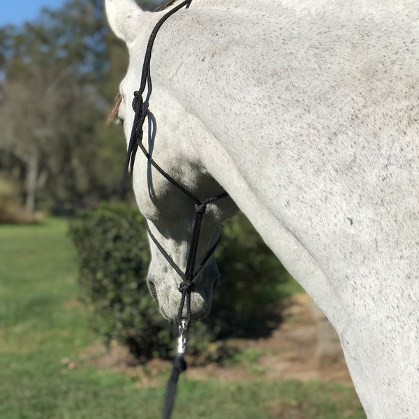 Happy Halter