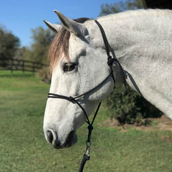 Happy Halter