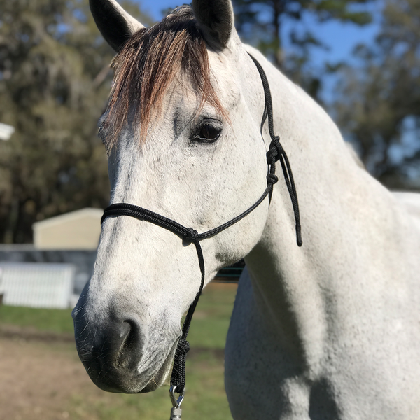 Happy Halter