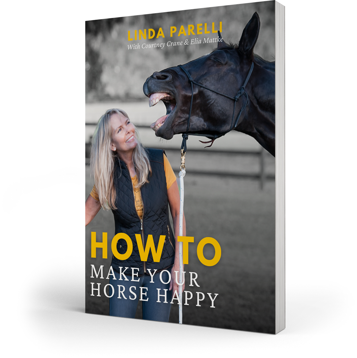 How to Make Your Horse Happy Happy Horse Happy Life